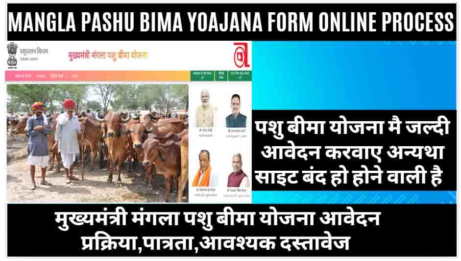 मुख्यमंत्री मंगला पशु बीमा योजना Mukhyamantri Mangla Pashu Bima Yojana 2025
